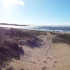 STRANDURLAUB IN SÜDSCHWEDEN UND SCHWEDEN HAUTNAH ERLEBEN  6.-11.6.2026