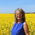 MAGISCHES RETREAT IN SCHWEDEN M INTUITIONSTRAINING, THE SECRET&TROMMELMEDITATION 2.-7.12.2025