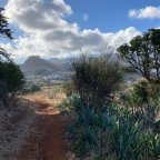 SPANISCH CRASHKURS UNTER DER SONNE TENERIFFAS 20.-25.12.2025