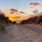 CRASHKURS ENGLISCH AM LÄNGSTEN SCHWEDISCHEN SANDSTRAND 14.-21.9.2026