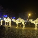 CRASHKURS SPANISCH AUF TENERIFFA UND EIN UNVERGESSLICHES WEIHNACHTEN  23.12.-28.12.2026