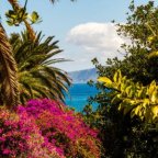 ESOTERIKURLAUB AUF TENERIFFA - CHILLEN IM PARDIES    7.-12.4.2026