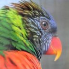 CRASHKURS SPANISCH AUF TENERIFFA  2.-7.4.2026