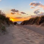 RETREAT AM LÄNGSTEN SCHWEDISCHEN SANDSTRAND 15.-20.1.2026